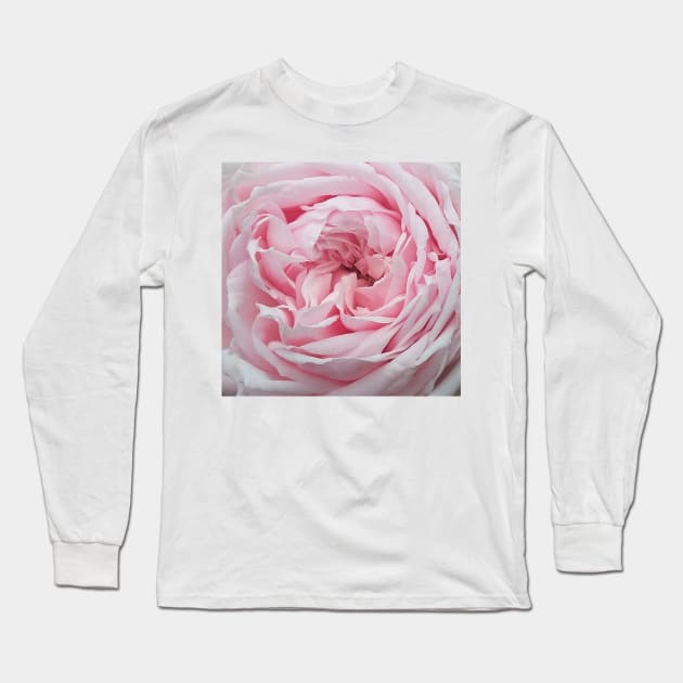 Delicate Pink Rose Flower Petal Pattern Long Sleeve T-Shirt by Art by Deborah Camp